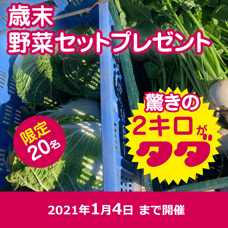 【歳末助け合い】野菜セットプレゼント