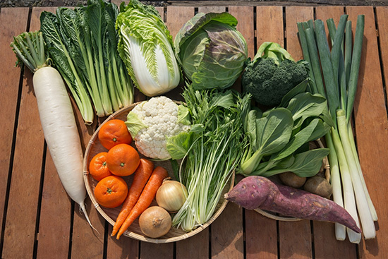 【12/31発売】年末特別 野菜12品セット（北海道と九州の方）※送料込み※100サイズ満タン